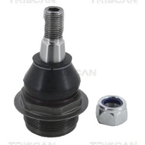 Pivot TRISCAN 8500 10596 – RENAULT | AutoRival