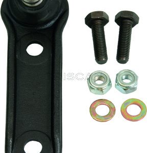 Pivot TRISCAN 8500 25525 – RENAULT | AutoRival