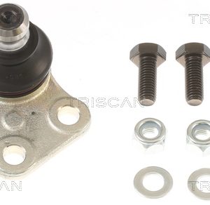 Pivot TRISCAN 8500 25556 – RENAULT | AutoRival