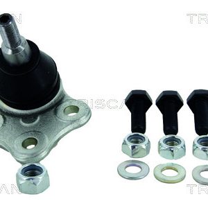 Pivot TRISCAN 8500 25561 – RENAULT | AutoRival