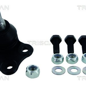 Pivot TRISCAN 8500 25565 – RENAULT | AutoRival