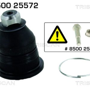Pivot TRISCAN 8500 25572 – RENAULT | AutoRival