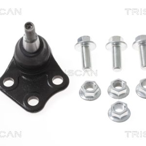 Pivot TRISCAN 8500 25595 – RENAULT | AutoRival