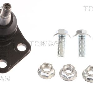 Pivot TRISCAN 8500 25596 – RENAULT | AutoRival