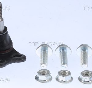 Pivot TRISCAN 8500 25599 – RENAULT | AutoRival