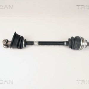 Planetara TRISCAN 8540 25601 – RENAULT | AutoRival