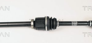 Planetara TRISCAN 8540 25610 – RENAULT | AutoRival