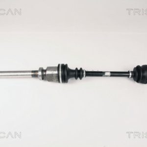 Planetara TRISCAN 8540 25612 – RENAULT | AutoRival