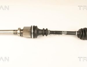 Planetara TRISCAN 8540 25657 – RENAULT | AutoRival