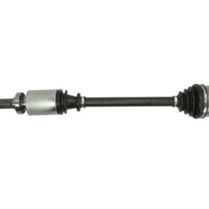 Planetara PASCAL G2R059PC – RENAULT | AutoRival