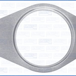 Garnitura conducta supapa-AGR AJUSA 01419600 – RENAULT | AutoRival
