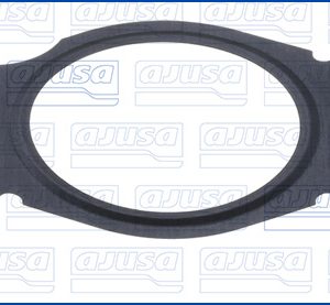 Garnitura conducta supapa-AGR AJUSA 01594400 – RENAULT | AutoRival