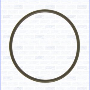 Garnitura pompa vacuum AJUSA 16058800 – RENAULT | AutoRival