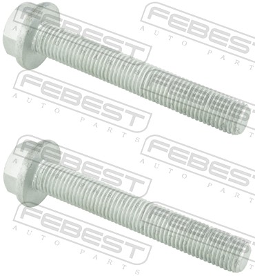 Bolturi fixare brat suspensie SKODA ROOMSTER Praktik (5J) 1.4 TDI diesel 80 cai FEBEST 2098-001-PCS2