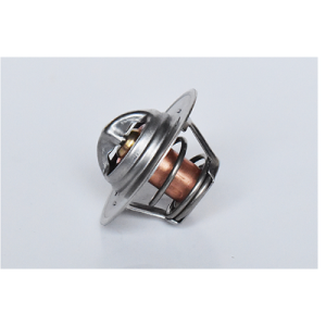 Termostat lichid racire SKODA ROOMSTER Praktik (5J) 1.4 benzina 86 cai ASAM AUTOMOTIVE 73459