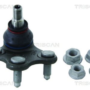 Pivot SKODA ROOMSTER (5J7) 1.4 benzina 86 cai TRISCAN 8500 295023