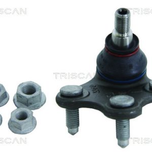 Pivot SKODA RAPID Spaceback (NH1) 1.6 benzina 105 cai TRISCAN 8500 295024