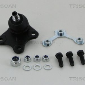 Pivot SKODA ROOMSTER Praktik (5J) 1.4 benzina 86 cai TRISCAN 8500 29564