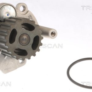 Pompa de apa SKODA ROOMSTER (5J7) 1.9 TDI diesel 101 cai TRISCAN 8600 29041