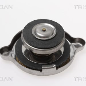 Buson radiator SKODA RAPID (120G, 130G, 135G) 1.3 (130G) benzina 61 cai TRISCAN 8610 1