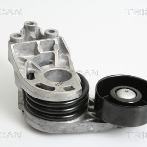 Intinzator curea transmisie SKODA ROOMSTER (5J7) 1.4 TDI diesel 80 cai TRISCAN 8641 293027