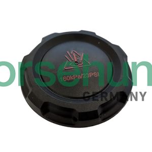 Buson vas expansiune SKODA RAPID Spaceback (NH1) 1.6 benzina 105 cai BORSEHUNG B12203