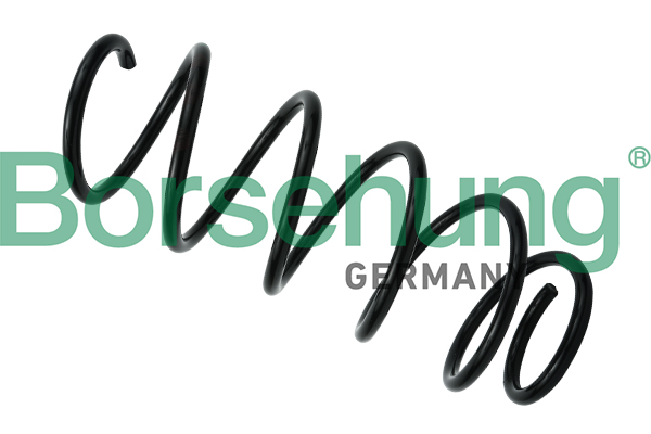 Arc spiral SKODA ROOMSTER Praktik (5J) 1.4 TDI diesel 70 cai BORSEHUNG B12558