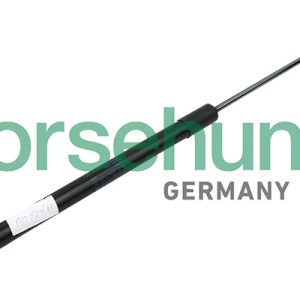 Amortizor portbagaj SKODA YETI (5L) 2.0 TDI 4x4 diesel 140 cai BORSEHUNG B14201