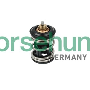 Termostat lichid racire SKODA RAPID (NH3, NK3, NK6) 1.2 TSI benzina 90 cai BORSEHUNG B18261