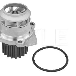 Pompa de apa SKODA ROOMSTER (5J7) 1.9 TDI diesel 105 cai MEYLE 113 012 0056