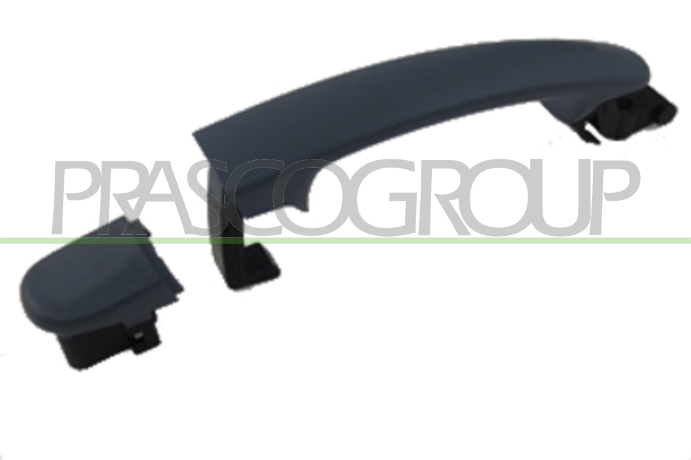 Manerul exterior al usii SKODA RAPID (NH3, NK3, NK6) 1.2 TSI benzina 110 cai PRASCO VG8078003