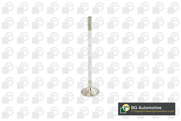 Supapa evacuare BGA V016840 – SKODA | AutoRival