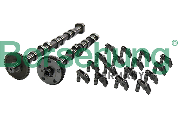 Set ax cu came BORSEHUNG B19173 – SKODA | AutoRival
