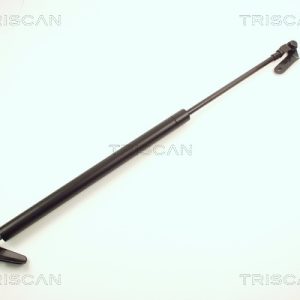 Amortizor portbagaj TOYOTA COROLLA Liftback (_E10_) 2.0 D (CE100_, CE100R) diesel 72 cai TRISCAN 8710 13235