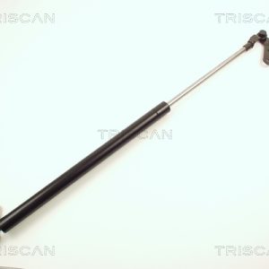 Amortizor portbagaj TOYOTA COROLLA Compact (_E10_) 1.3 XLI 16V (EE101) benzina 88 cai TRISCAN 8710 13236