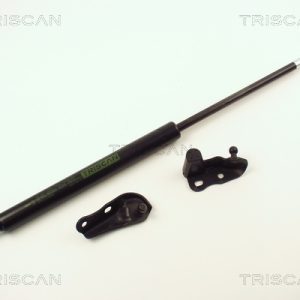 Amortizor portbagaj TOYOTA AVENSIS VERSO (_M2_) 2.0 VVT-i (ACM20_, ACM20R) benzina 150 cai TRISCAN 8710 13264
