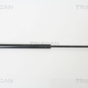 Amortizor portbagaj TOYOTA AVENSIS (_T25_) 2.0 D-4D (ADT250_, ADT250R) diesel 126 cai TRISCAN 8710 13266