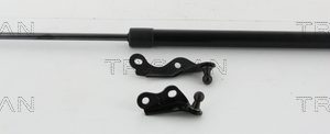 Amortizor portbagaj TOYOTA YARIS (_P1_) 1.3 (NCP10, SCP12_) benzina 86 cai TRISCAN 8710 13287