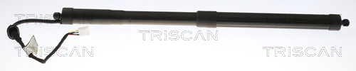Amortizor portbagaj TOYOTA RAV 4 V VAN (_A5_, _H5_) 2.5 Hybrid (AXAH52) benzina/elector 218 cai TRISCAN 8710 13301