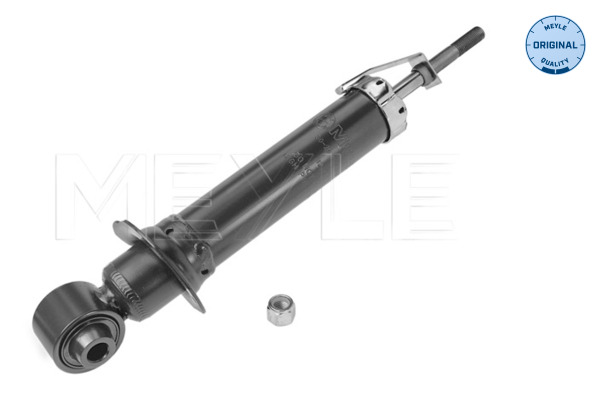 Amortizor TOYOTA AVENSIS combi (_T25_) 2.0 VVT-i (AZT250_, AZT250R) benzina 147 cai MEYLE 30-26 725 0004