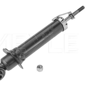 Amortizor TOYOTA AVENSIS limuzina (_T25_) 2.0 VVTi (AZT250_) benzina 155 cai MEYLE 30-26 725 0004
