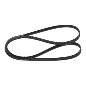 Curea transmisie cu caneluri TOYOTA AVENSIS combi (_T25_) 2.0 D-4D (CDT250_, CDT250R) diesel 116 cai BOSCH 1 987 946 001