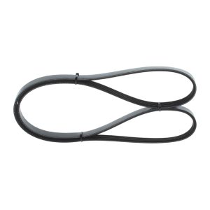 Curea transmisie cu caneluri TOYOTA LAND CRUISER 100 (_J1_) 4.2 TD (HDJ100_, HDJ100) diesel 204 cai BOSCH 1 987 946 003