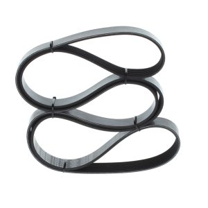 Curea transmisie cu caneluri TOYOTA RAV 4 III (_A3_) 2.4 4WD (ACA31, ACA33) benzina 170 cai BOSCH 1 987 946 850