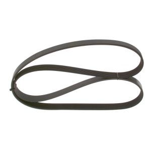 Curea transmisie cu caneluri TOYOTA HILUX VII pick-up (_N1_, _N2_, _N3_) 2.5 D-4D (KUN15_, KUN15R) diesel 120 cai BOSCH 1 987 947 560