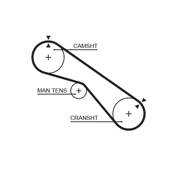 Curea de distributie TOYOTA LAND CRUISER 80 (_J8_) 4.2 D (HZJ80, HZJ81) diesel 135 cai GATES 5321XS