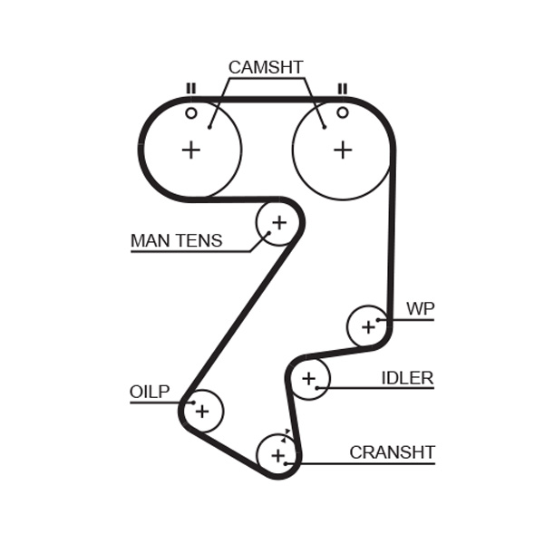Curea de distributie TOYOTA MR2 II (SW2_) 2.0 16V (SW20_, SW20R) benzina 156 cai GATES 5404XS
