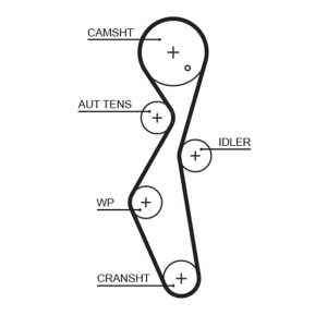 Curea de distributie TOYOTA PROACE platou / sasiu (MDZ_) 2.0 D4d 4x4 (MDZ3) diesel 122 cai GATES 5672XS