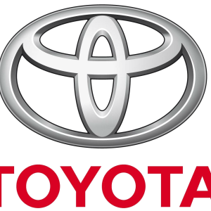 Clips acoperire decorativa si protectie TOYOTA HIACE II bus (_H11, _H2_, _H3_, _H4_) 1.6 (RH20, RH30) benzina 67 cai OE TOYOTA 5216116010