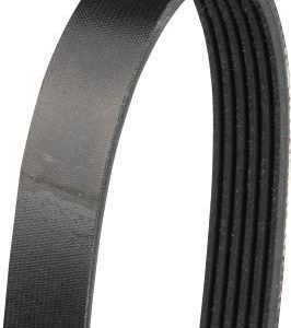 Curea transmisie cu caneluri TOYOTA COROLLA Liftback (_E11_) 1.6 (ZZE112_, ZZE112R) benzina 110 cai HERTH BUSS JAKOPARTS J1061840